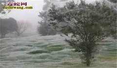 地震后地上出现神秘＂白毛＂ 原来小时...
