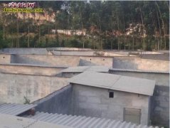 福建养蛇培训基地 福建哪里有蛇类养殖...