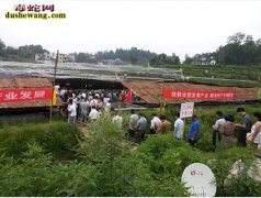 现在农村养什么挣钱？2018年投资养...