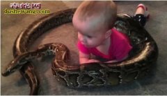 妈妈把孩子交给蛇友爷爷 结果看到这样...
