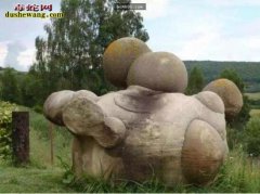 世界上最神奇、不可思议的石头！遇水会...