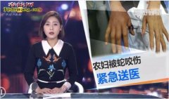 夏季毒蛇出没“谈蛇色变”蛇竟成了邪恶...