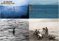 尼斯湖水怪到底是什么生物？科学家最近...