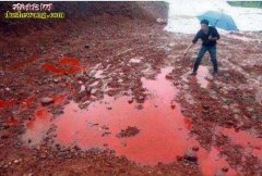 中国最诡异河流-赤水河！河两岸毒蛇密...