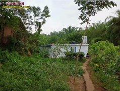 雷村蛇场四川学员回访：四川高县罗场镇...