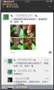 五步蛇咬伤断指保命！看似愚蠢、实则无...