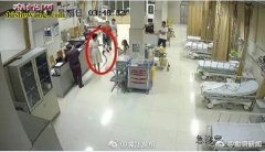23岁姑娘被蛇咬后徒手握蛇急诊，赤练...