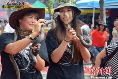 “游蛇神”闽北七巧节与蛇共舞！樟湖坂...