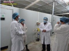苏浙沪抽检1000多儿童兽用抗生素超...