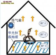 蛇箱养蛇真像电视上宣传的那么好吗？