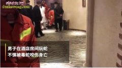 男子带毒蛇开房被咬死！据说是吓唬女孩...