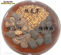 中药调理蛇慢性肠炎基础方分享