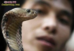 越南眼镜蛇主题餐厅是这样的！并不是只...