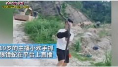 19岁网红直播手抓眼镜蛇！为了“红”...