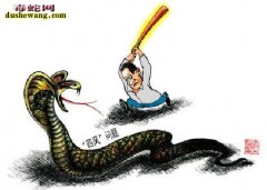 农村老人说“打蛇不死晚上会来报复”什...