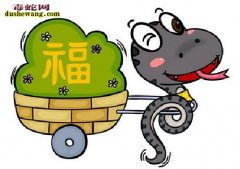 2019年02月14日情人节属蛇人今...