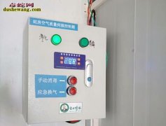 养蛇到底赚不赚钱？出栏率达到80%怎...