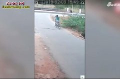 印度两男子骑自行车遭眼镜蛇进攻！网友...