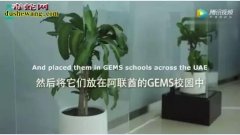 世界上最悲催的植物！活活的被骂死了！...