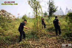乱象“放生”何时止！西双版纳澜沧江边...