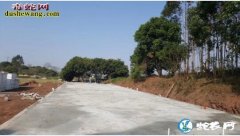 养蛇场的建造、养蛇模式不同建造方式不...