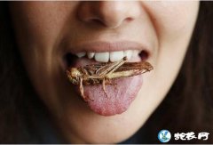 美媒盘点世界最＂重口味＂美食！能吃下...
