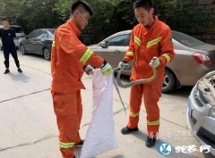 3米长大菜花蛇钻入车引擎盖内！6人齐...