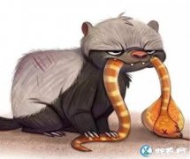 免疫蛇毒的三种动物？哪三种动物不怕毒...