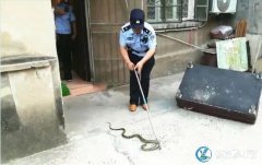 吓死奶奶了！江苏老太睡梦中疼醒！原来...