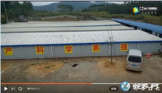 蛇场建设养殖场视频