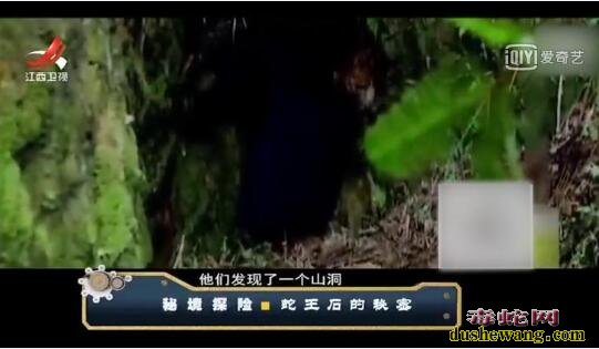 揭秘“蛇王石”！会发光的石头竟然可以...