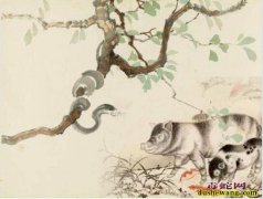 为什么猪能吃毒蛇，而不会中毒身亡？其...