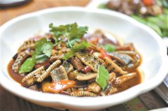 秋冬季节、又到一年食蛇时！广东人吃蛇...