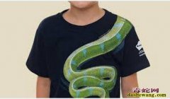 太逼真了！10岁男孩衣服上有“蛇”太...