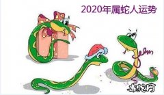 2020年1月21日十二月廿七日属蛇...