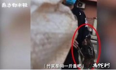 广州市场：有人偷卖竹鼠、蛇等野生动物...