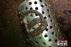 印度男子头顶毒蛇骑行11公里未觉头盔...