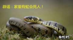 家里出现蛇要死人是真的吗？有什么寓意...