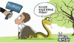 蛇类禁吃！首个地方禁食野生动物“黑白...