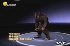 揭秘！加拿大温哥华岛小岛“野人”事件...