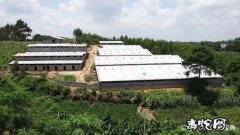 【转】几十万养蛇户的呼声：野味禁令，...