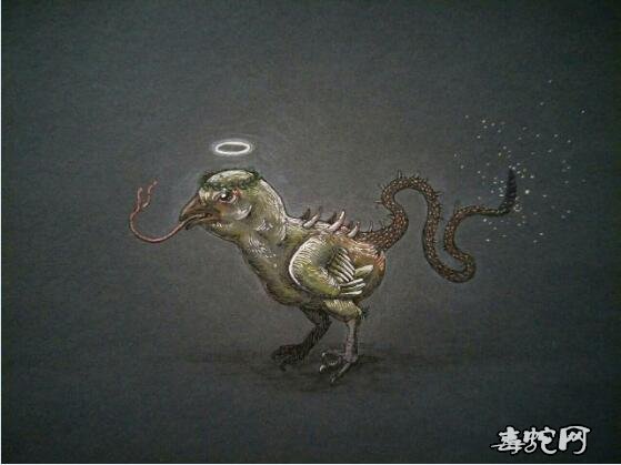 2,蛇尾鸡