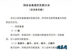 国家畜禽遗传资源目录（征求意见稿）