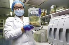 致敬！为守护国门他们与蛇、蜥蜴、乌龟...
