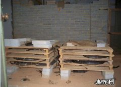 广西蛇产业向大健康转型升级 相关项目...