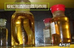 蜈蚣泡酒的功效与作用？