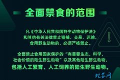 武汉：全面禁止食用野生动物 严格野生...