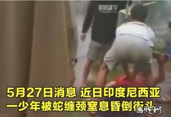 印尼少年遭蛇勒颈倒地大家不敢靠近！ ...