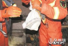 太危险了！惠安银环蛇半夜进一居民屋“...