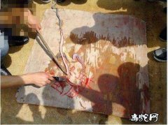 蛇血溅到身上怎么去味道？如何清洗？